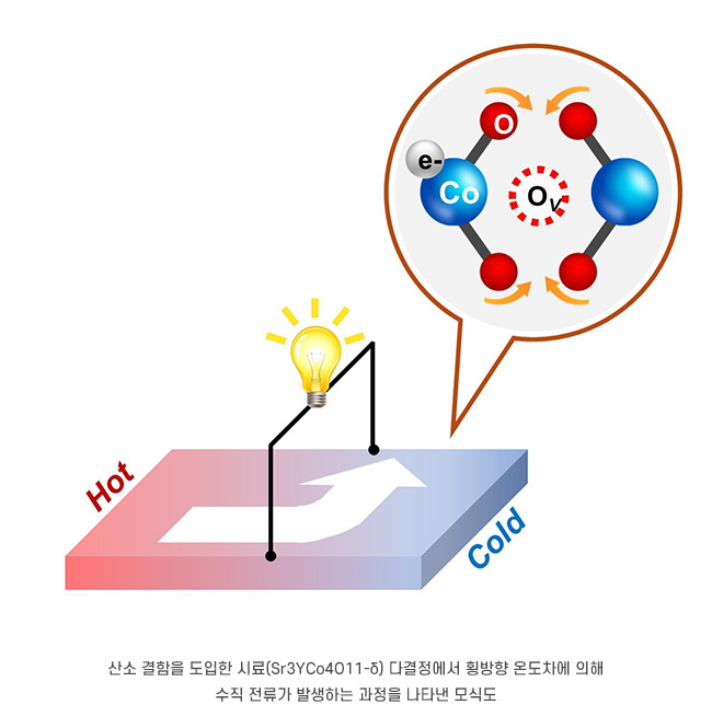 O e- Co Ov Hot Cold 산소 결함을 도입한 시료(Sr3YCo4O11-δ) 다결정에서 횡방향 온도차에 의해 수직 전류가 발생하는 과정을 나타낸 모식도