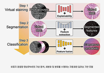 전자·IT융합·기계·융합 김철홍 교수팀, 기존 병리학을 뛰어넘는 비표지 조직학, AI와 만나다 관련 이미지