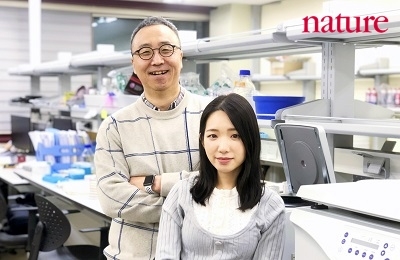 Three-Dimensionally Reconstituted Organoids that Are Just Like Human Organs 관련 이미지